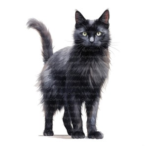 10 schwarze Katze Clipart, Körper Clipart der schwarzen Katze, druckbare Aquarell Clipart, hochwertige JPGs, digitaler Download, Papiermodell, Junk Journals