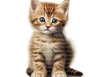 Clipart de gatinho, Clipart de gato, Clipart em aquarela para imprimir, 10 arquivos JPG/PNG de alta qualidade, Download digital, Artesanato em papel, Diários de arte