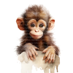 8 aap baby clipart, aap voor kinderkamer, afdrukbare aquarel clipart, hoge kwaliteit png's, digitale download, hoge resolutie, papierkunst