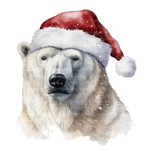 12 cliparts ours polaire en bonnet de Noel, ours polaire, clipart aquarelle imprimable, JPG de haute qualité, téléchargement numérique, créations en papier, journal indésirable