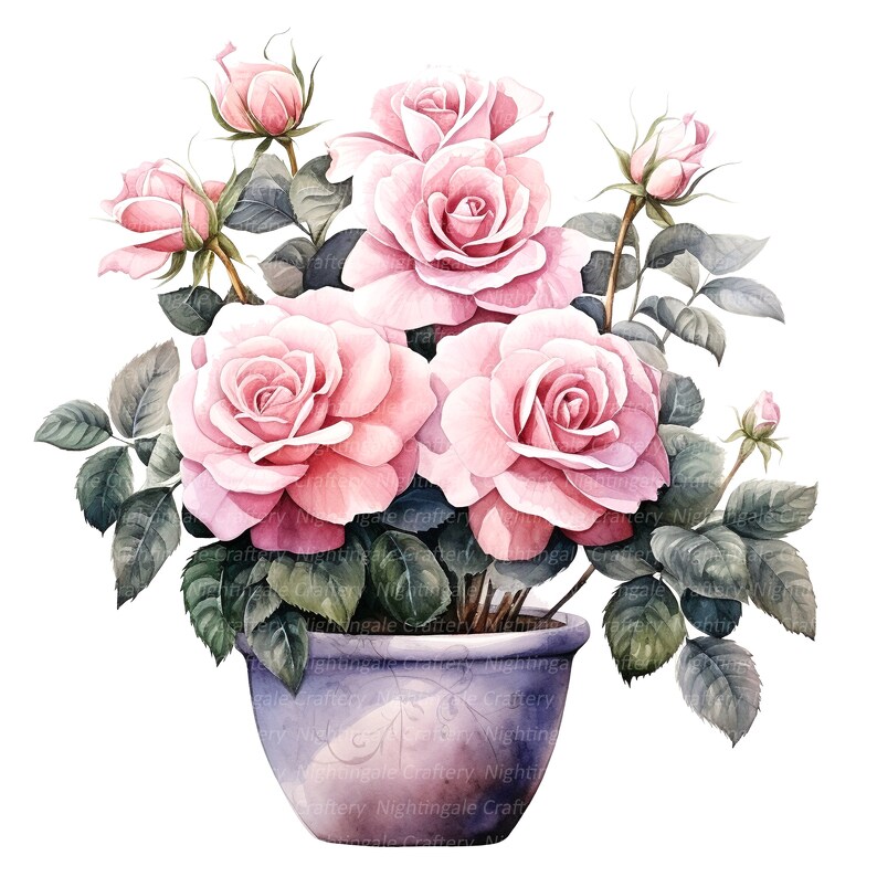 10 Roses in Pot Clipart, Pink Roses, Printable Watercolor Clipart ...