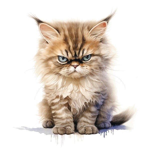 12 Grumpy Sad Kitten Clipart, Cat Clipart, Printable Watercolor clipart, 10 High Quality JPGs, Digital download, Paper craft, junk journals