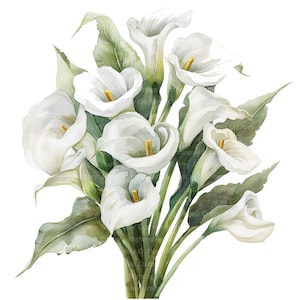 10 Clipart di Calle, Clipart di Calla, Giglio Calla, Clipart di acquerelli stampabili, PNG di alta qualità, Download digitale, Carta artigianale, Diari
