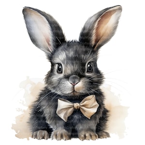 Clipart 10 konijntjes met vlinder, afdrukbare aquarel clipart, hoge kwaliteit jpg&#39;s, digitale download, Paper Craft, ongewenste tijdschriften