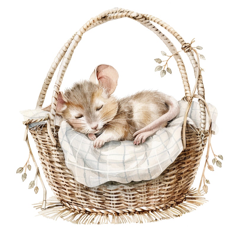 8 Sleeping Mouse Clipart, Mouse in Cradle, Printable Watercolor Clipart ...