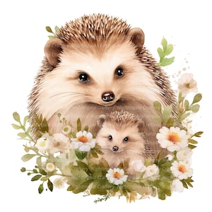 Maman hérisson avec bébé Clipart, clipart aquarelle imprimable, 10 fichiers JPG de haute qualité, téléchargement numérique, haute résolution, créations en papier