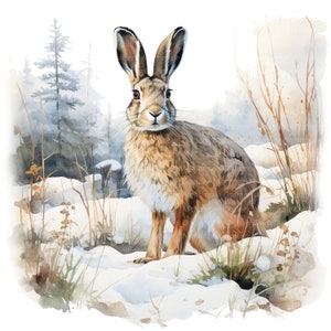 Peut inclure: Un lapin brun et blanc aux longues oreilles se tient dans un décor de forêt enneigée. Le lapin regarde directement le spectateur. L'arrière-plan est une douce aquarelle de bleu et de blanc, avec des touches de feuillage vert.