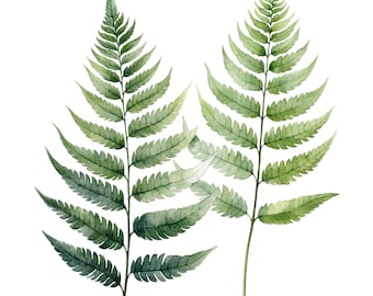 9 ormbunksblad Clipart, ormbunksclipart, utskrivbar akvarell clipart, högkvalitativa JPG/PNG-bilder, digital nedladdning, papperspyssel, skräpjournaler