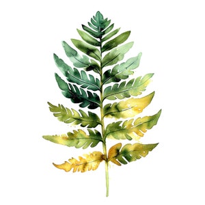 10 Clipart de feuilles de fougère, fougère Clipart, clipart aquarelle imprimable, JPG de haute qualité, téléchargement numérique, créations en papier, carnets de bord