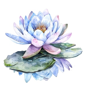 12 Waterlilies Clipart, Water Lily Clipart, Clipart de aquarela para impressão, PNG/JPG de alta qualidade, Download digital, Artesanato em papel, Diários de lixo