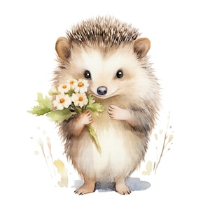 10 Hedgehog Flower Clipart, Cartoon Hedgehog, Printable Watercolor clipart, High Quality JPGs, Digital download, Paper craft, sublimation