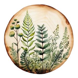 11 Clipart tranche en bois fougère, Clipart verdure, clipart aquarelle imprimable, JPG de haute qualité, téléchargement numérique, créations en papier, journal indésirable