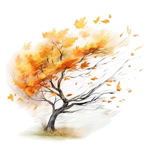 10 cliparts orageux arbre automne, feuilles d'automne, clipart aquarelle imprimable, fichiers JPG de haute qualité, téléchargement numérique, créations en papier, journaux indésirables