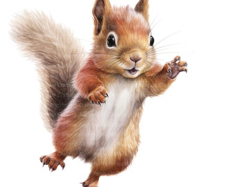 14 Cute Squirrel Baby Clipart, Printable Watercolor clipart, High Quality JPG/PNGs, Digital download, High resolution, Paper crafts