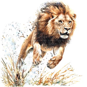 10 Lion Jump Clipart, Lion Attack Print, clipart de aquarela para impressão, JPGs de alta qualidade, download digital, alta resolução, artesanato em papel