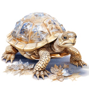 8 Jewelled Tortoise Clipart, Turtle Clipart, Printable Watercolor ...