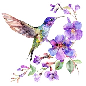 11 Tropical Hummingbird Clipart, Colibri Clipart, Printable Watercolor clipart, High Quality PNGs, Digital download, Paper craft, stickers