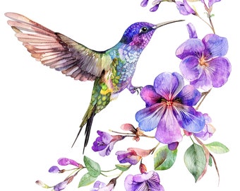 11 Tropical Hummingbird Clipart, Colibri Clipart, Printable Watercolor clipart, High Quality PNGs, Digital download, Paper craft, stickers