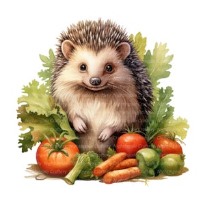 Cute Hedgehog Autumn Clipart, clipart em aquarela para impressão, 10 JPGs de alta qualidade, download digital, alta resolução, artesanato em papel