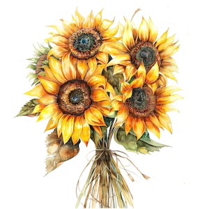 12 cliparts tournesols, bouquet de tournesols, clipart aquarelle imprimable, fichiers JPG de haute qualité, téléchargement numérique, créations en papier, journaux indésirables