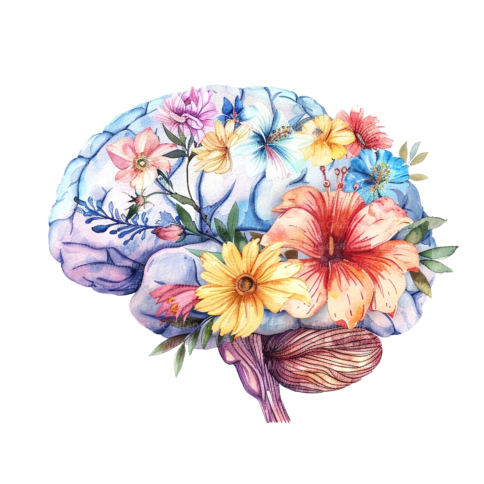 10 Floral Human Brain Clipart, Anatomical Brain, Printable Watercolor ...