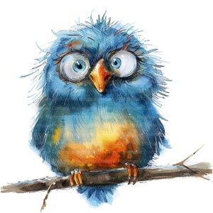 14 imágenes prediseñadas de pájaros extravagantes, pájaros extravagantes, imágenes prediseñadas digitales, imágenes prediseñadas de acuarela, PNG de alta calidad, imágenes prediseñadas imprimibles, descarga digital, manualidades