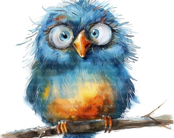 14 imágenes prediseñadas de pájaros caprichosos, pájaros originales, imágenes prediseñadas digitales, imágenes prediseñadas de acuarela, PNG de alta calidad, imágenes prediseñadas imprimibles, descarga digital, manualidades
