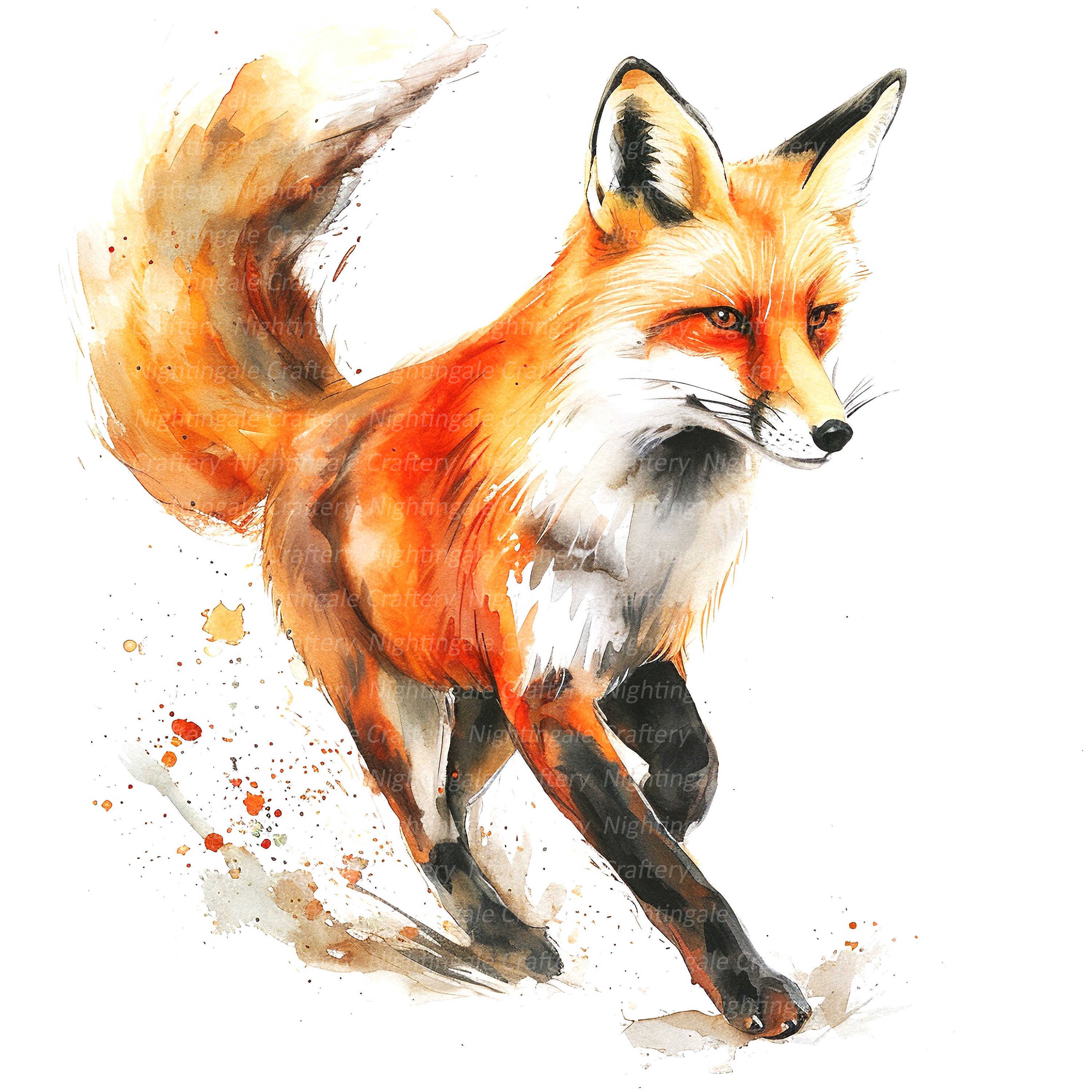 11 Fox Drawing Clipart, Watercolor Fox Print, Printable Watercolor ...