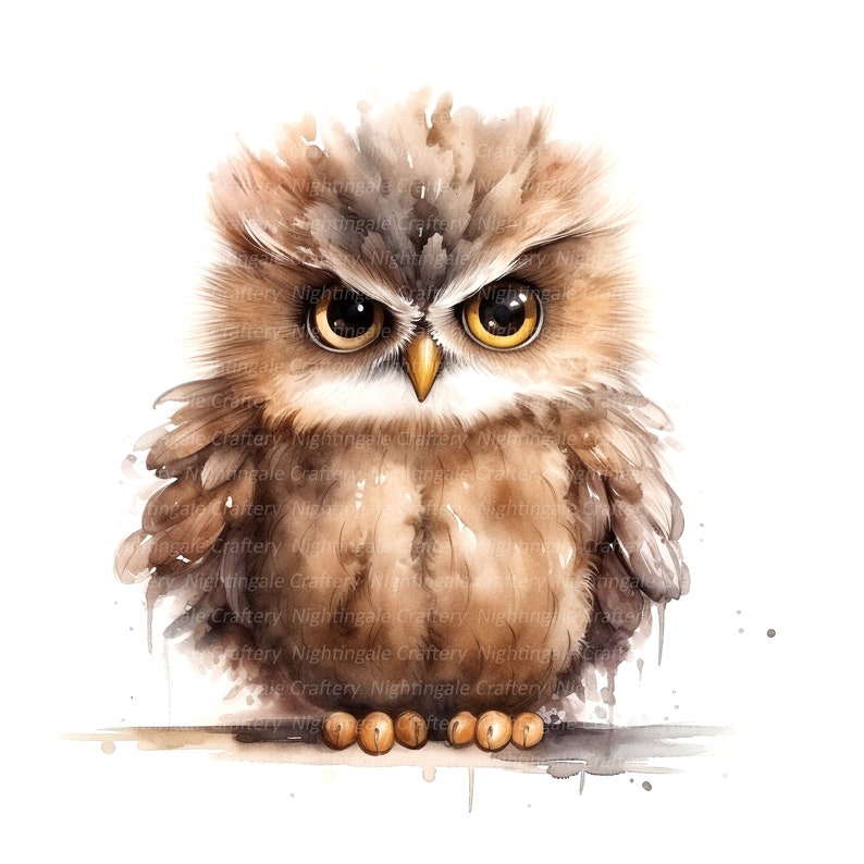 Washed Owl 10 Grumpy Owl Clipart, Cute Owl Clipart, Digital Clipart, Watercolor ...