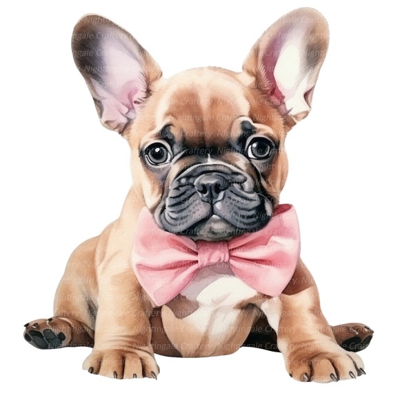 Bulldog Francese Del Cucciolo Fotografia Stock - Immagine di doggy