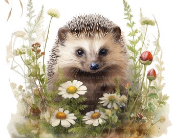 12 Cute Hedgehog in Grass Clipart, Printable Watercolor clipart, High Quality PNG/JPGs, Digital download, Paper craft, junk journals
