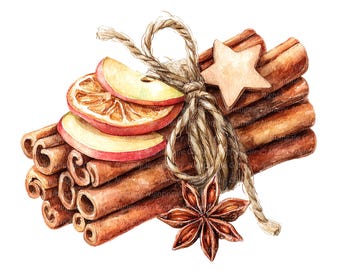 8 Weihnachtsdeko-Cliparts, Zimt-Bundle, druckbare Aquarell-Cliparts, hochauflösende JPGs, digitaler Download, Papierbasteln, Junk Journals
