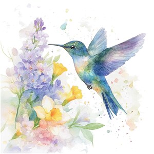 Puede incluir: Una pintura de acuarela de un colibr&iacute; en vuelo, con las alas extendidas. El colibr&iacute; es azul y verde con un pico largo y delgado. Est&aacute; volando hacia un grupo de flores moradas y amarillas. El fondo es un blanco suave con salpicaduras de acuarela.