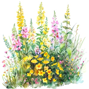 12 Gelbe Wildblumen Blumenbeet Clipart, Floral, druckbare Aquarell Clipart, hochwertige JPGs, digitaler Download, Papiermodell, Junk Journal