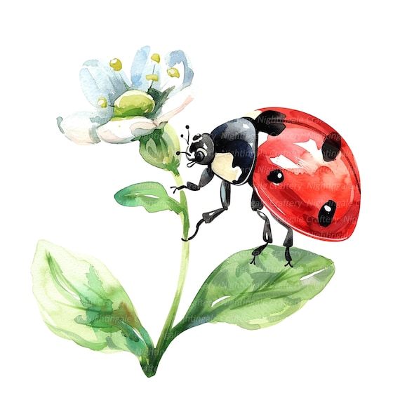 120 adesivi coccinelle api fiori in legno per fai da te decorazione di biglietti