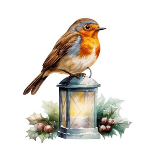 12 Clipart di Robin e Lanterna di Natale, clipart acquerello stampabile, JPG di alta qualità, download digitale, artigianato con la carta, diari spazzatura