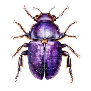 16 Adorable Beetles Clipart, Scarab Beetle, Printable Watercolor clipart, High Quality PNG, Digital download, Paper craft, junk journal