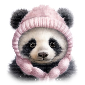 8 Panda in Wool Hat Clipart, Winter Panda, clipart acquerello stampabile, JPG di alta qualità, download digitale, artigianato con la carta, diario spazzatura