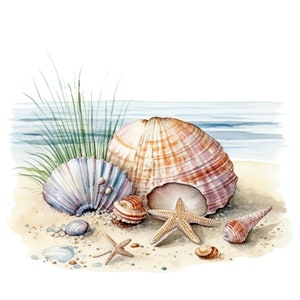 May include: A collection of seashells on a sandy beach with a starfish and a few blades of grass. The shells are a variety of colors and shapes, including a large, brown and pink shell, a smaller blue and white shell, and a small, brown and white shell.