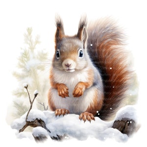 12 cliparts mignon écureuil en hiver, clipart aquarelle imprimable, fichiers JPG de haute qualité, téléchargement numérique, haute résolution, créations en papier