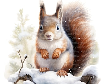 12 Cute Squirrel in Winter Clipart, Printable Watercolor clipart, High Quality JPGs, Digital download, High resolution, Paper crafts