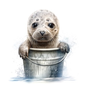 8 Baby Seal in Bucket Clipart, Seal playing, Printable Watercolor clipart, High Quality JPGs, Digital download, Paper craft, junk journals