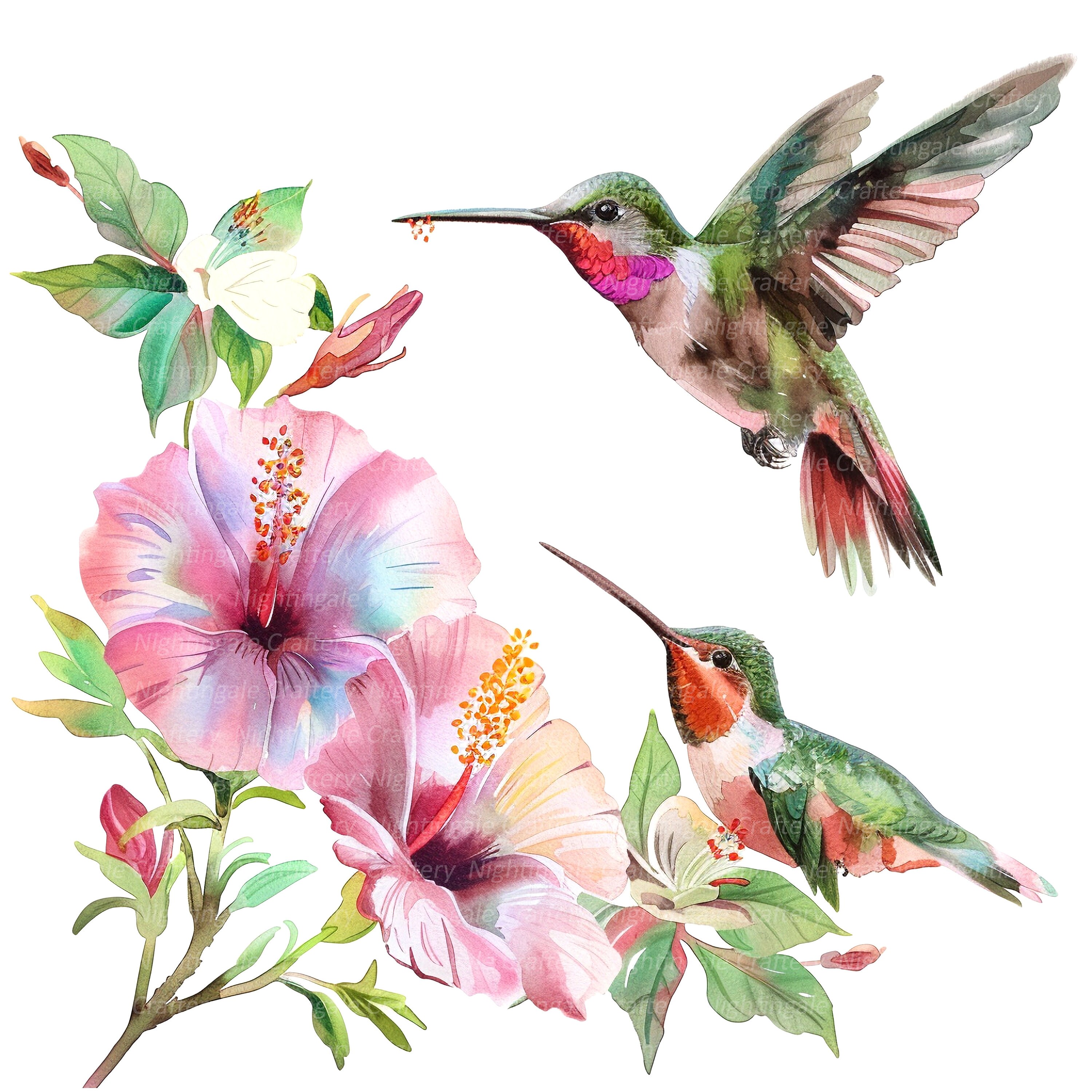 10 Hummingbird Clipart, Colibri Couple Clipart, Printable Watercolor ...