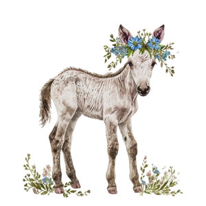 10 Baby Horse Clipart, Horse Foal, Floral Horse, Printable Watercolor clipart, High Quality JPGs, Digital download, junk journals