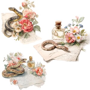 14 Perfumes con letras románticas, clipart de serpiente floral, clipart de acuarela imprimible, JPG de alta calidad, descarga digital, manualidades de papel, diario