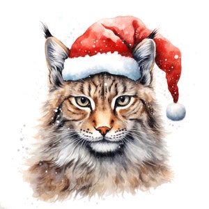 8 Noël Maine Coon Cat Clipart, clipart aquarelle imprimable, fichiers JPG de haute qualité, téléchargement numérique, travaux manuels en papier, journal indésirable