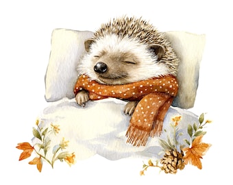 7 Cute Hedgehog Sleep Clipart, Cartoon Hedgehog, Printable Watercolor clipart, High Quality JPGs, Digital download, Paper craft, sublimation