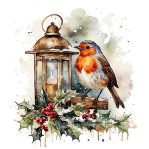 12 Christmas Robin Clipart Set 2, clipart em aquarela para impressão, JPGs de alta qualidade, download digital, artesanato em papel, diários indesejados