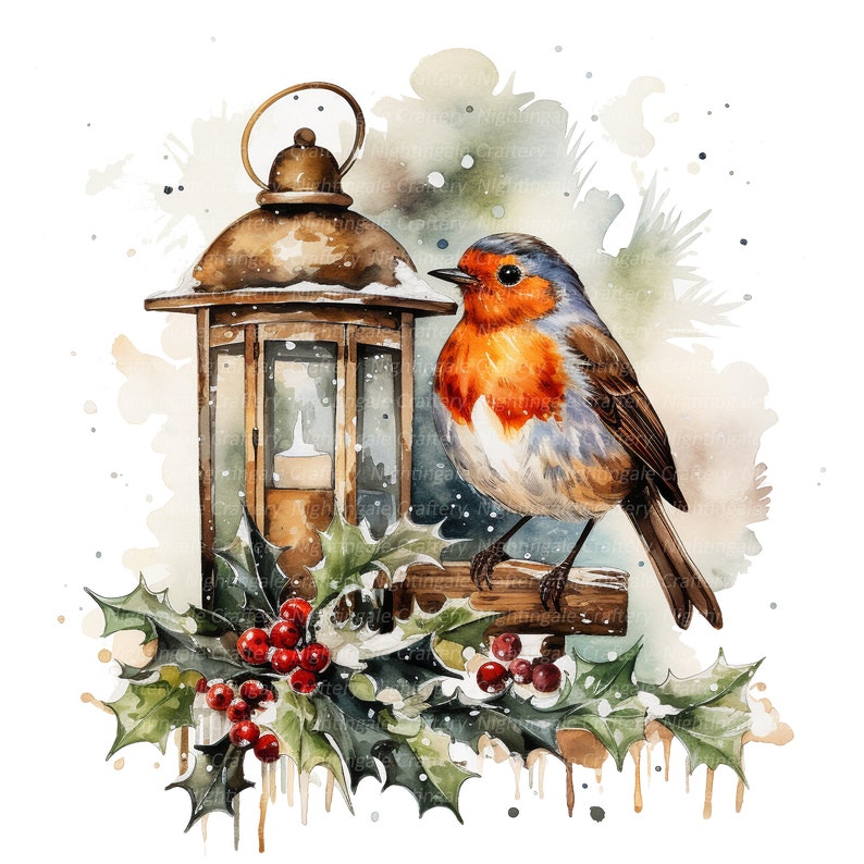 12 Christmas Robin Clipart Set 2, Printable Watercolor Clipart, High ...