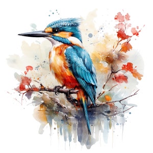 12 ijsvogelvogel clipart, afdrukbare aquarel clipart, hoge kwaliteit jpg's, digitale download, hoge resolutie, Paper Craft, junk tijdschriften